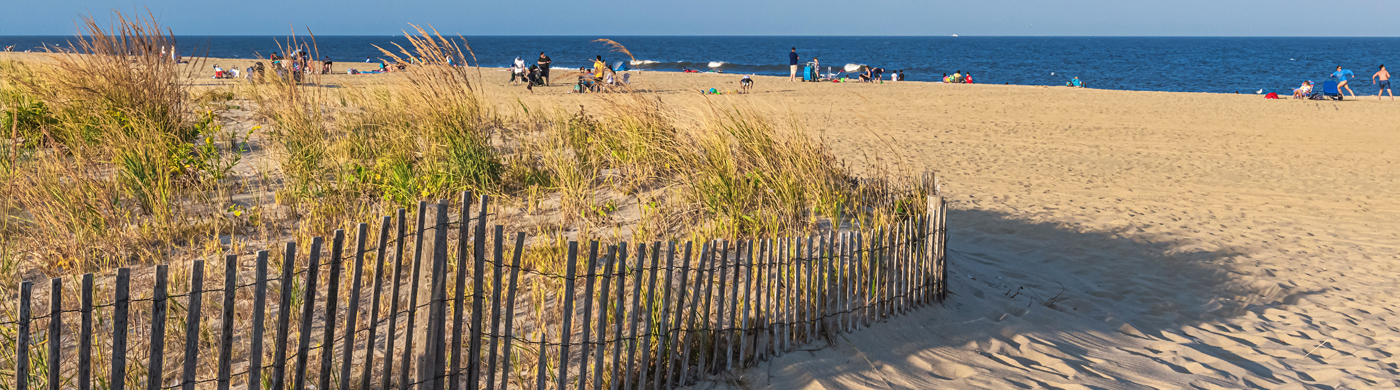 Berm dune monitoring