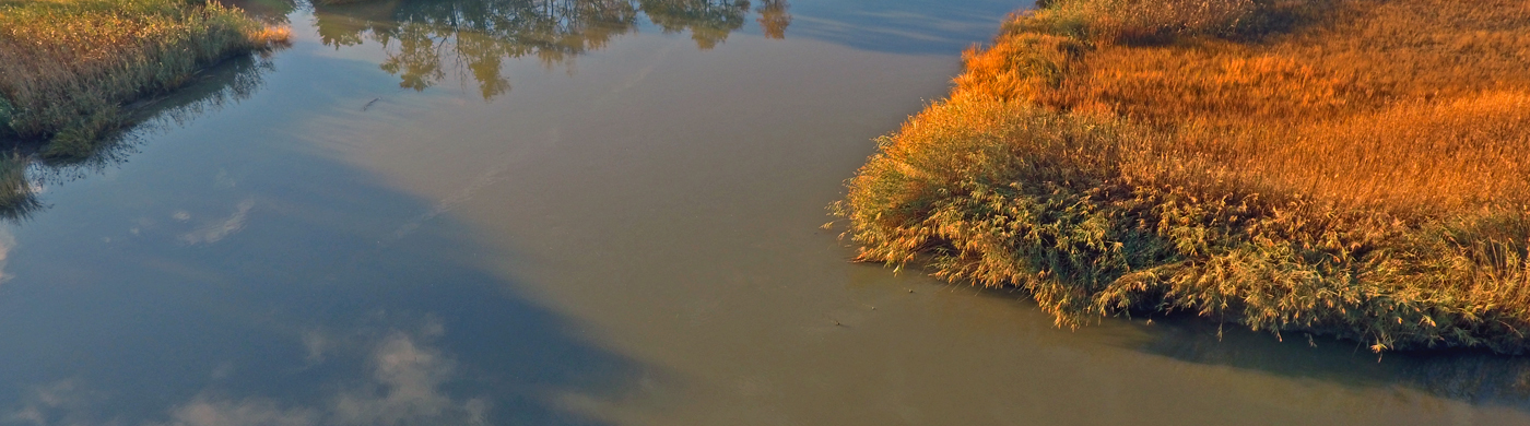Effect of Bathymetric changes on Water-level variation in estuaries
