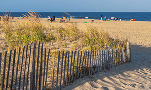 Berm dune monitor