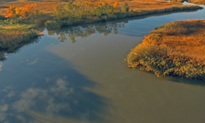 Effect of Bathymetric changes on Water-level variation in Estuaries