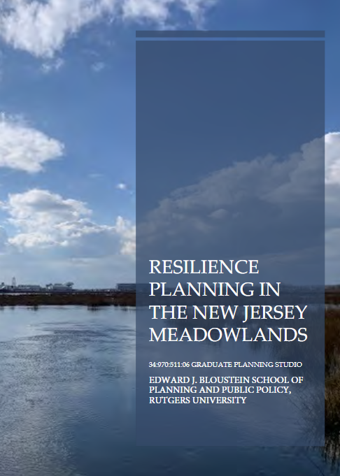 Rutgers Meadowland Studio Report Cover